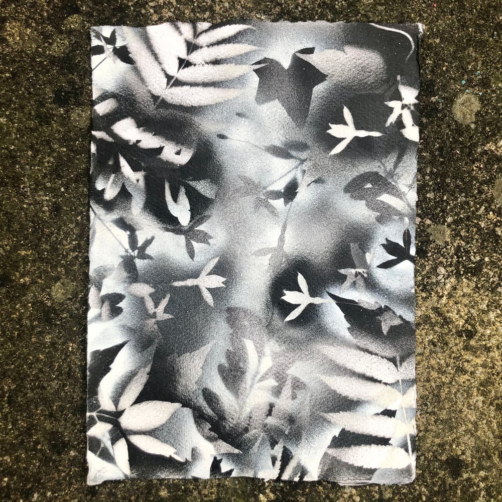 Image of ‘Plant Study 27’ - Original artwork on cotton rag paper