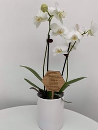 Image 3 of Planter Plaque