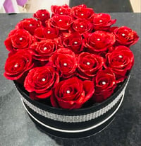 Forever Red Roses 🌹 