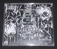 Image 3 of Led To The Grave - Bane Of Existence - CD/Cassette