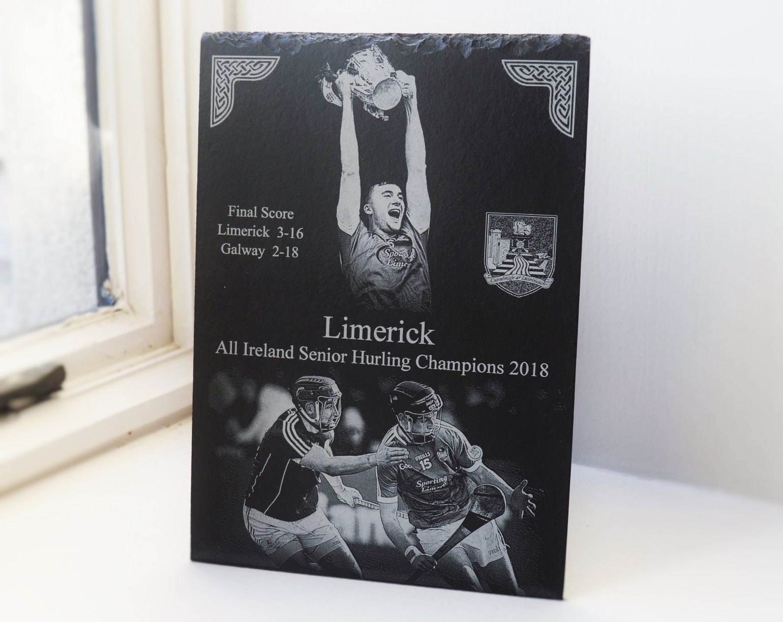 Image of Limerick All Ireland Hurling Champions 2018