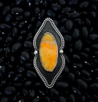 Image 1 of ❋Pointed Bumblebee Jasper ❋