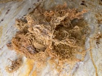 Organic Sea Moss