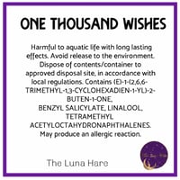 Image 3 of One Thousand Wishes