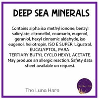 Image 3 of Deep Sea Minerals