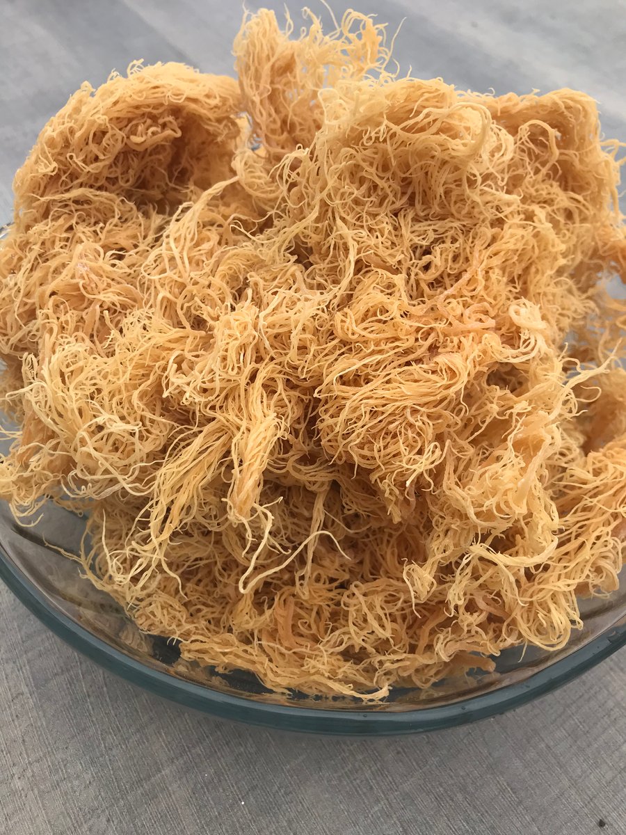 Sea moss что это