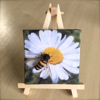 Image 2 of Honey bee Daisy Beeasel.