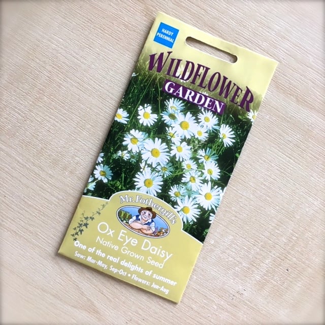 Image of Honey bee Daisy Beeasel.