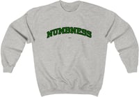 numbness College crewneck