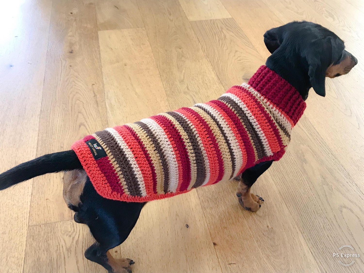 Image of Rich Autumnal Snazz