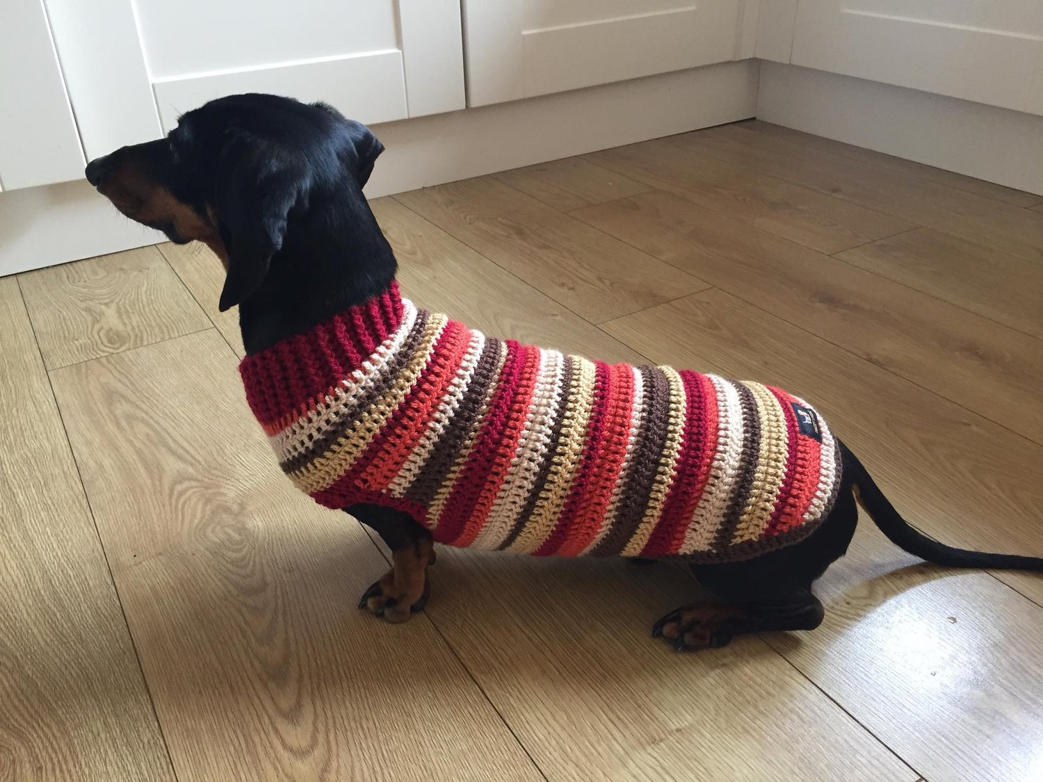 Image of Rich Autumnal Snazz