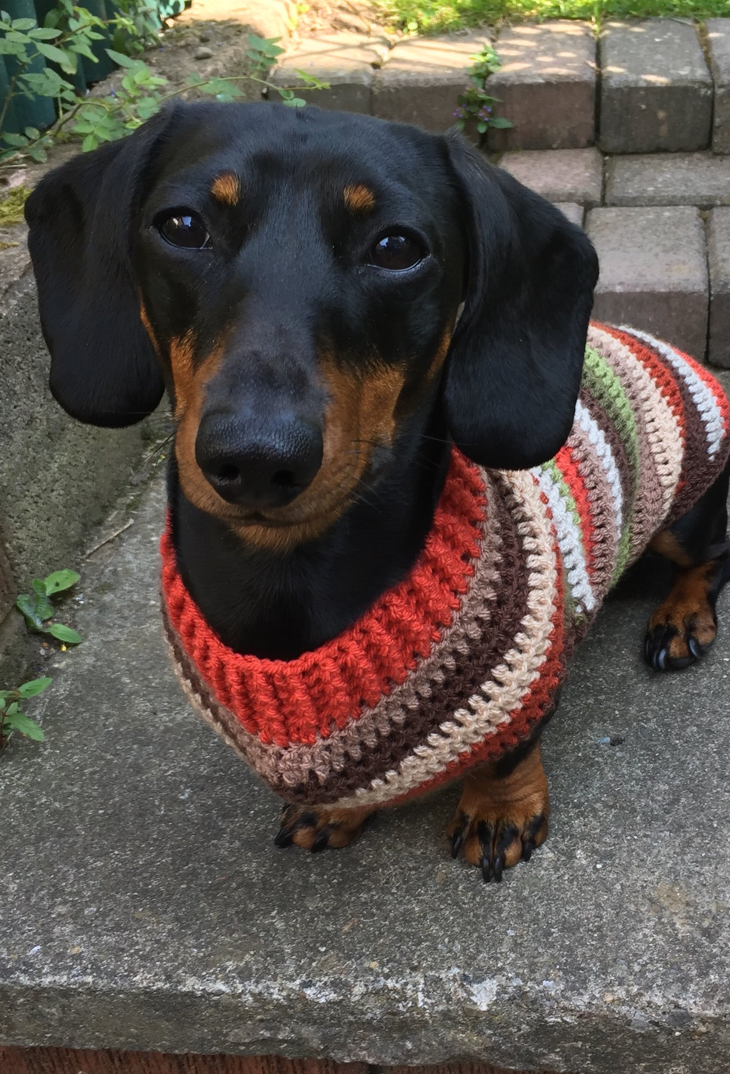 Image of Snazzy Autumn
