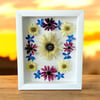 Genuine Sunflower, Delphinium And Red Cone Wildflowers In 8" X 10" Shadow Box (Item# 202203LS)