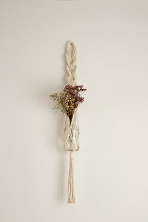 Image of Braiding plant hanger