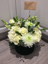Image 1 of Box of class 