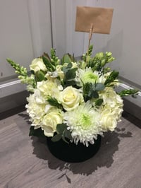 Image 3 of Box of class 