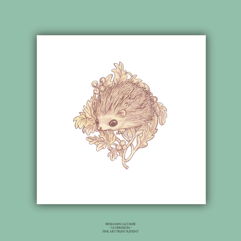 Image of Hedgehog - Art Edition
