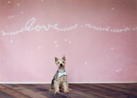 Image 1 of Valentine Minis Saturday, February 6th $180