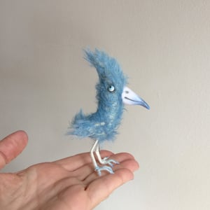 Image of BingoThe Bluebird 