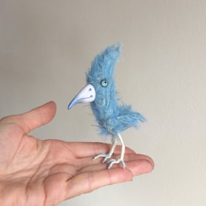 Image of BingoThe Bluebird 