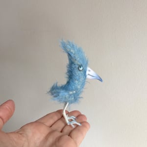 Image of BingoThe Bluebird 