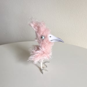 Image of Petie the Skeptical Pink Bird