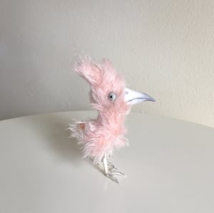 Image of Petie the Skeptical Pink Bird