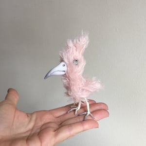 Image of Petie the Skeptical Pink Bird