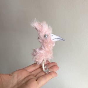 Image of Petie the Skeptical Pink Bird