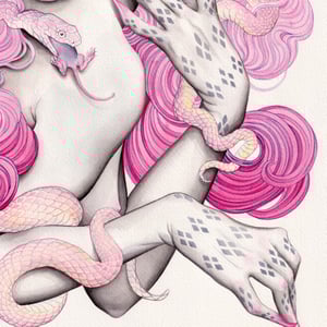 Image of Pinky (medusa)