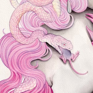 Image of Pinky (medusa)