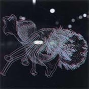 Image of Cease Upon the Capitol - S/T CD