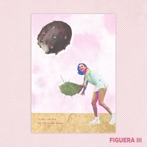 Image of Sèrie FIGUERA DE MORO