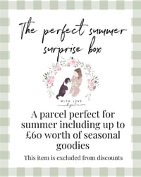 The Summer Surprise Box
