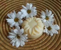 Image 1 of Clara Blackfoot Daisy Soap