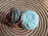 Image 1 of Annie Fresh Cactus Soap