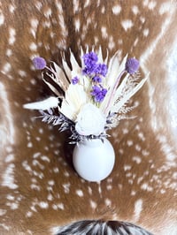 Image 1 of Purple Haze 