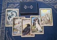 Animal Card Reading (30 minute audio)