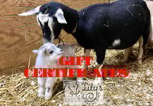 Image of Gift Certificates