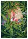 “Scent of a woman” Print (DP369)