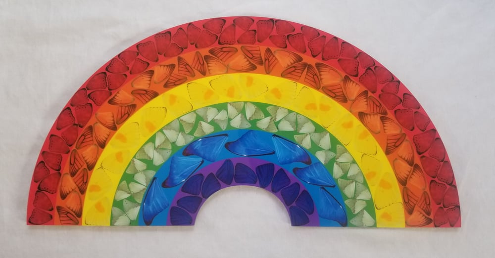 Image of DAMIEN HIRST Heni Butterfly Rainbow Print H7-2 Small 3