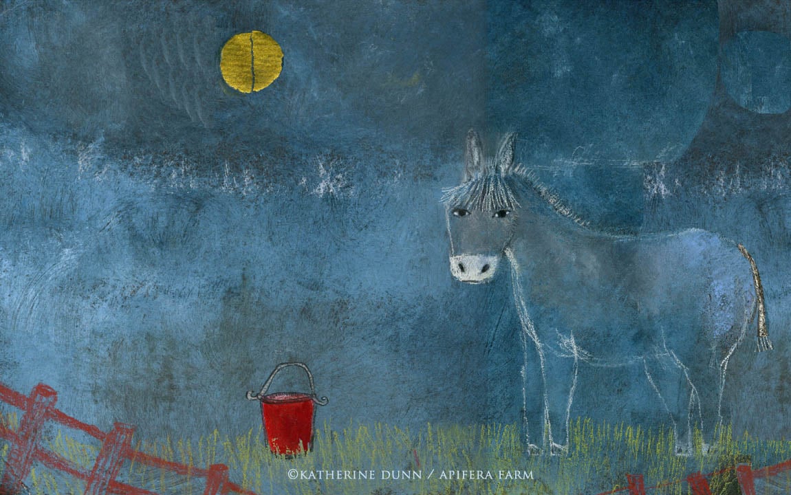Image of Little Donkey with his red bucket