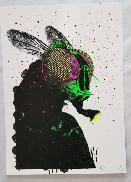 Image of Paul Insect Artist Proof Print from Pictures on Walls POW