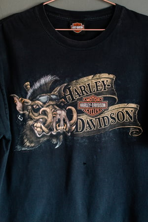 Image of 00's Harley Davidson, Kentucky Boar