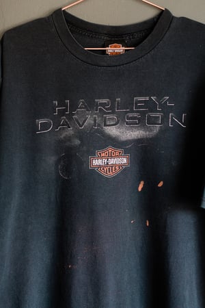 Image of Vintage 00's Harley Davidson Gainsville, Florida 