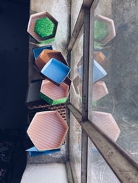 Image 5 of PEDARI-æske WORKSHOP