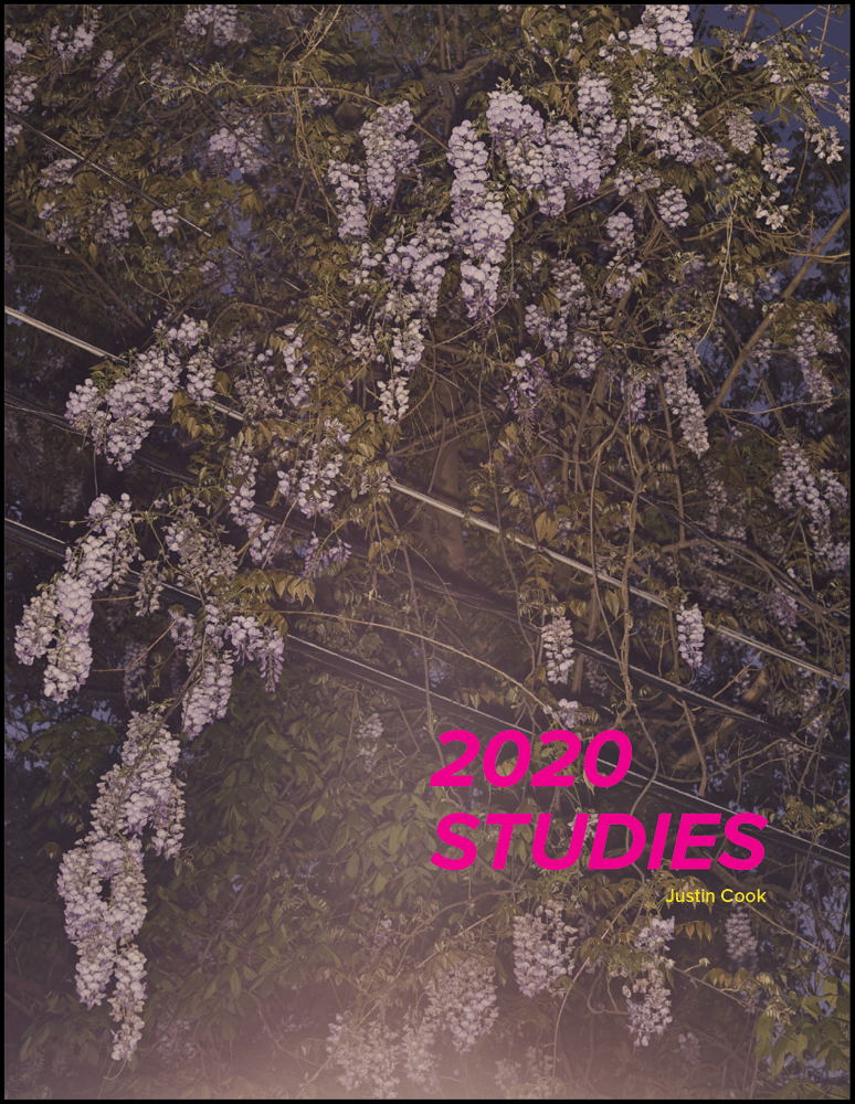 Image of 2020 STUDIES