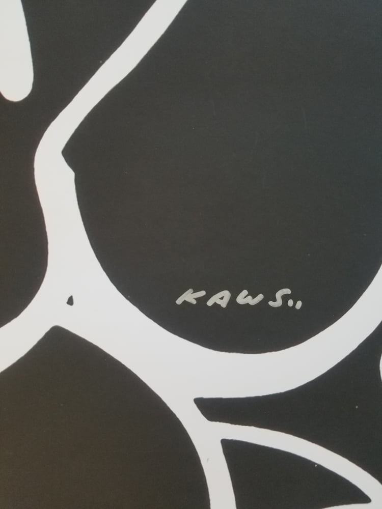 Image of Kaws Unknown