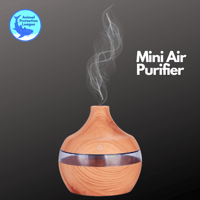 The Home Air Purifier Mini