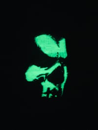 Image 4 of VIGILANTE